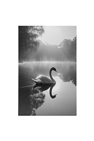 StoryGift Romania Tablou Canvas: Lebăda Pe Apa Aburindă Condensul Lacului Din...