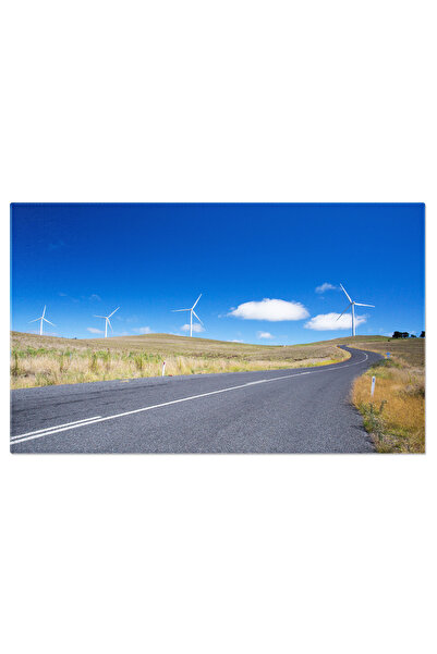 StoryGift Romania Tablou Canvas Vantul Ecologic Al Muntilor Inzapeziti: Alter...