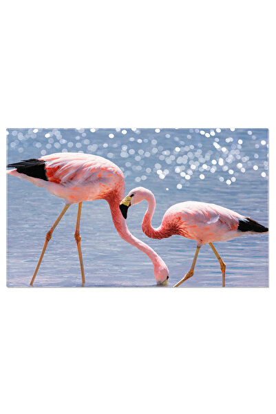 StoryGift Romania Tablou Canvas Pini Acoperiti Cu Zapada In Muntii Pitorii Cr...