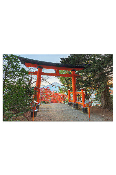 StoryGift Romania Tablou Canvas: Intrarea In Visare - Japonia, Ciresii Inflor...