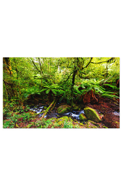 StoryGift Romania Tablou Canvas Coloana Sonora A Ploii In Padurea Warburton, ...
