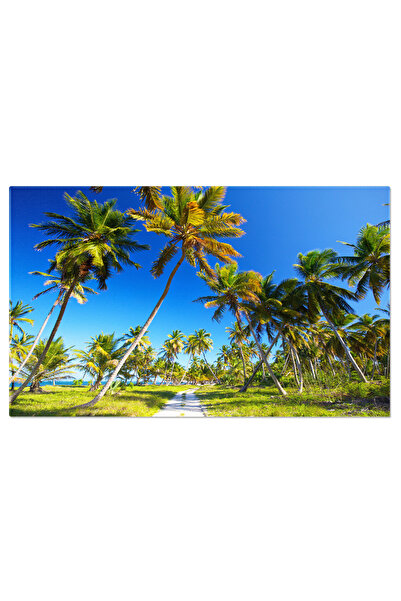 StoryGift Romania Tablou Canvas - Peisaj Exotic In Republica Dominicana - Cul...