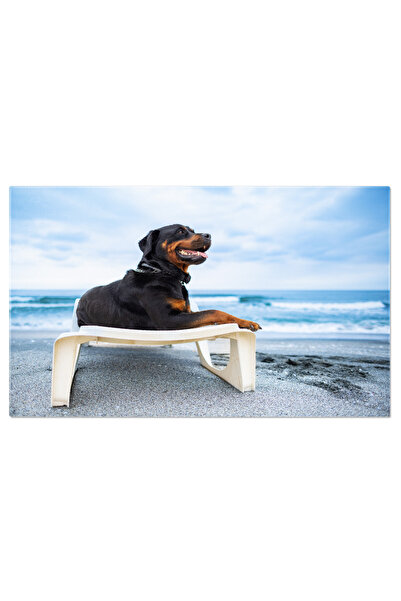 StoryGift Romania Tablou Canvas Rottweiler Relaxandu-se Pe Un Scaun De Plaja, Mamifer, Portret, Plaja, Relaxare,