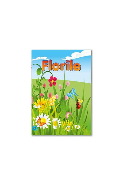 Arhi Design Coloring book - Flowers, 3 PCS/SET
