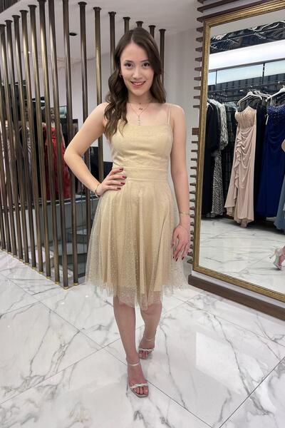 By Saygı Kadın İp Askılı Arkadan Bağcıklı Astarlı Taşlı Kısa Tül Elbise