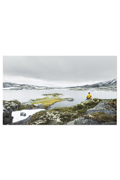StoryGift Romania Tablou Canvas - Fjord Norvegian Si Trolltunga: Explorare In...