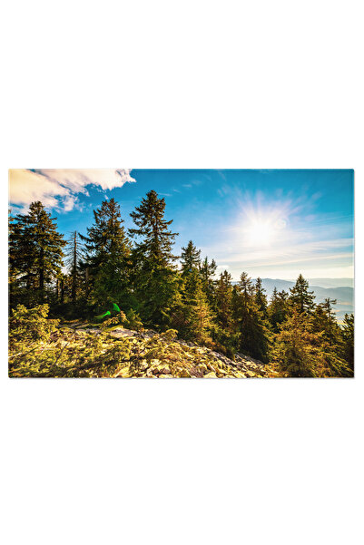 StoryGift Romania Tablou Canvas Peisajul Transeelor Reconstituire, Razboi, Tr...