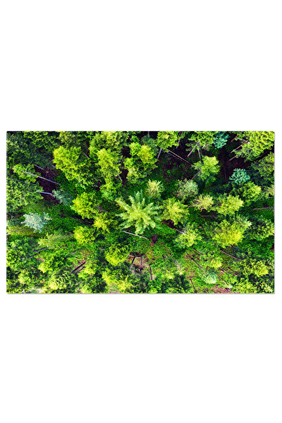 StoryGift Romania Tablou Canvas Vedere Aeriana La Padurea De Vara, Peisaj Nat...