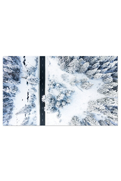 StoryGift Romania Tablou Canvas Iarna Pe Drum Si In Padure, Zapada, Calatorie...