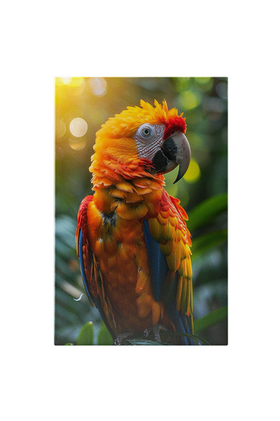 StoryGift Romania Tablou Canvas: Papagal Cu Pene Colorate În Lumina Soarelui - Magie Tropicală În Pene Pictura D