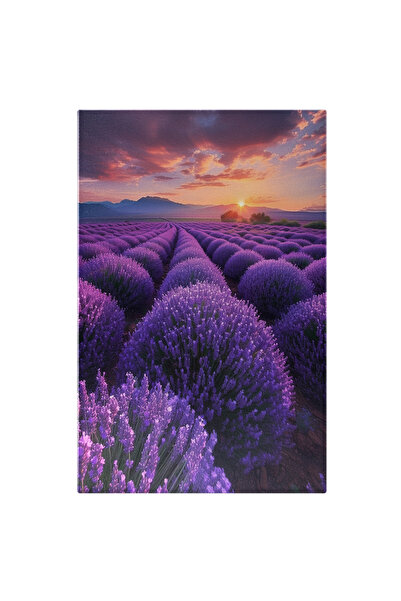 StoryGift Romania Tablou Canvas: Buchete Imense De Lavandă Râuri De Mireasmă Infinite Către Orizontul Apus Pictur