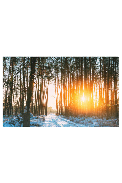 StoryGift Romania Canvas Painting 120 x 80CM Country Road in the Pine Forest ...