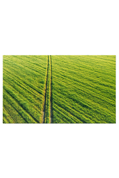 StoryGift Romania Tablou Canvas Vedere Aeriana A Drumului Rural Prin Campul V...