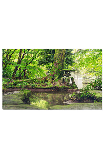 StoryGift Romania Tablou Canvas Cu Peisaje Scenice: Natura Si Liniste La Chub...