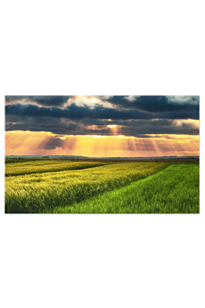 StoryGift Romania Tablou Canvas Cu Peisaj Rural Verde - Terenuri, Natura, Primavara