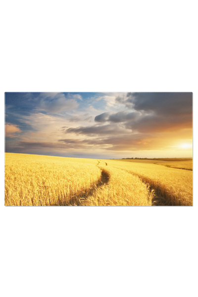 StoryGift Romania Tablou Canvas Camp De Grau La Apus, Agricultura, Fundal, Al...