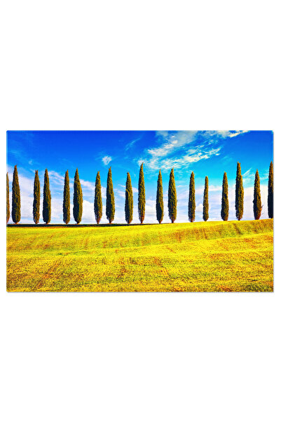 StoryGift Romania Tablou Canvas Rand De Chiparos In Toscana, Italia, Peisaj, ...
