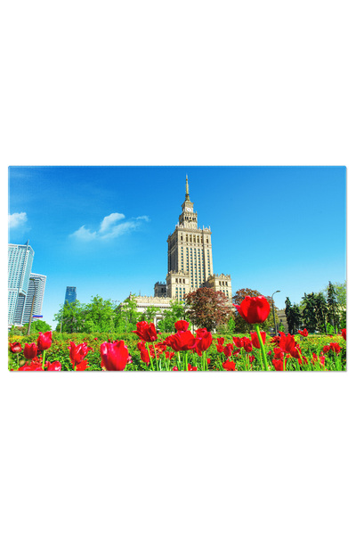 StoryGift Romania Tablou Canvas Lalele In Centrul Varsoviei, Polonia, Oras, A...