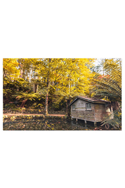 StoryGift Romania Tablou Canvas Alfred Nicholas Gradinile Memorial In Austral...