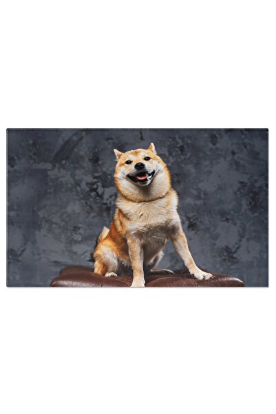 StoryGift Romania Tablou Canvas Shiba Inu Fermecator - Caine Fericit Intr-un ...
