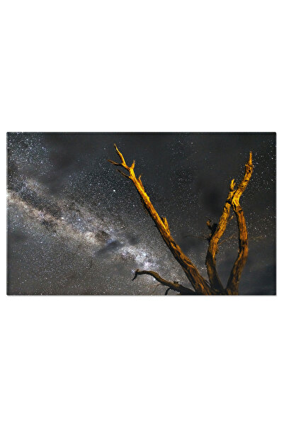 StoryGift Romania Tablou Canvas Pustietate In Deadvlei Namibia, Deadvlei, Des...