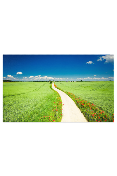 StoryGift Romania Tablou Canvas: Primavara In Campuri De Maci: Culori Si Flor...