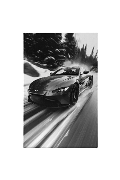 StoryGift Romania Tablou Canvas Zăpadă Sub Roțile Unei Mașini În Mers Pe Drum...