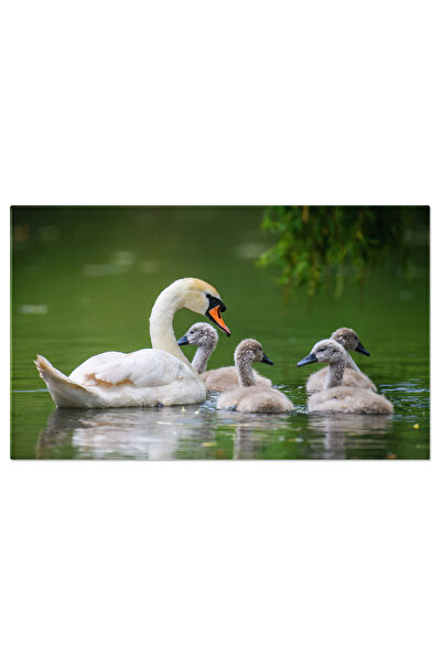 StoryGift Romania Tablou Canvas Motociclist Mx Pe Motocicleta, Motocross, Com...