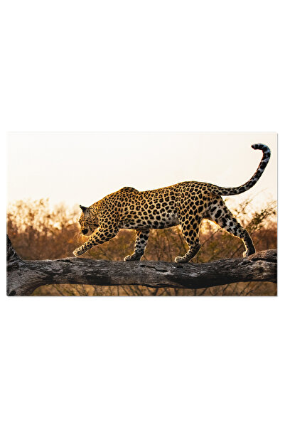 StoryGift Romania Tablou Canvas: Silueta Leoparzului La Apus În Africa De Sud"