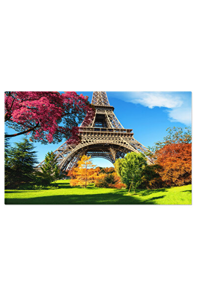 StoryGift Romania Tablou Canvas Copaci In Padure, Vedere De La Radacini, Alas...