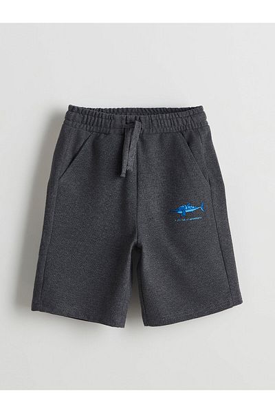 LC Waikiki Elastic Waist Boy Shorts