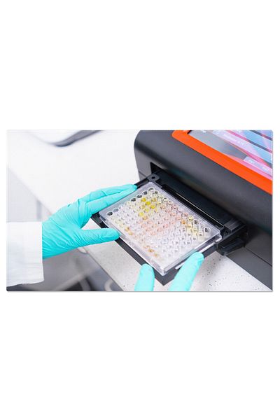 StoryGift Romania Canvas Print Microplate Spectrophotometer Used by Researchers in Laboratory Instrument Es