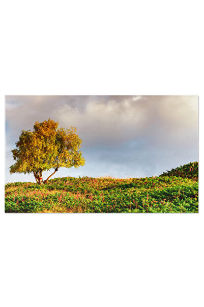 StoryGift Romania Tablou Canvas - Descoperind Peisaje Toamnale in Caucaz - Av...