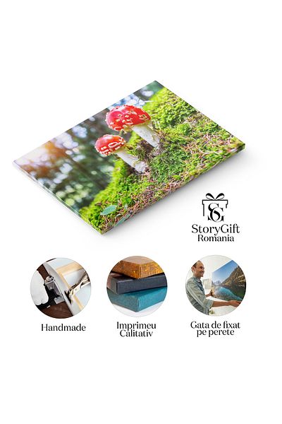 StoryGift Romania Tablou Canvas Amanita Muscari Fly Agaric, Frumoasa Cap Rosu, Var, Sat, Peisaj, Fundal, Calatori