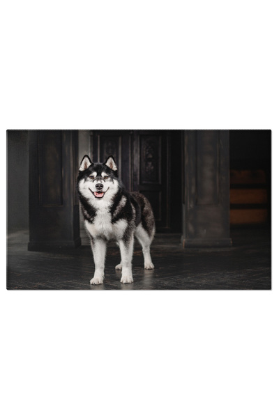 StoryGift Romania Tablou Canvas: Lumina Lunii Peste Un Caine Izolat, intr-un Portret Care Reda Grandoarea Noptii