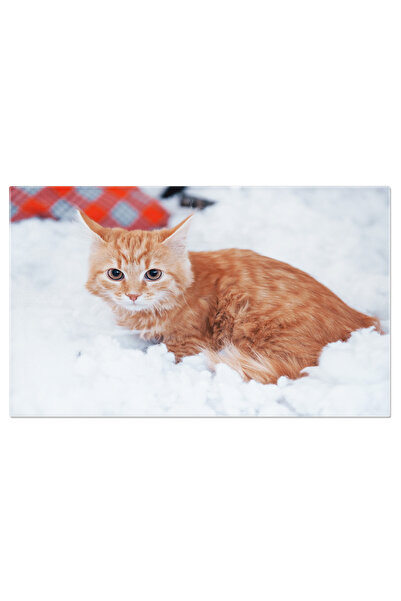 StoryGift Romania Tablou Canvas Animal de Companie Portocaliu Zacand pe Canap...