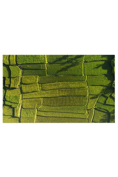 StoryGift Romania Tablou Canvas: Terenuri agricole din Asia, vedere aeriana, paleta verde a recoltei gata de cule