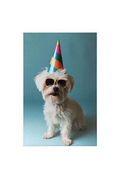 StoryGift Romania Canvas Print Festive Little White Maltese with Sunglasses and Striped Helmet Brightly Colored