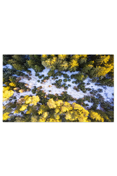 StoryGift Romania Tablou Canvas - Raze de Soare Prin Padurea Styria: Lumina si Umbra in Peisajul de Iarna din Aus