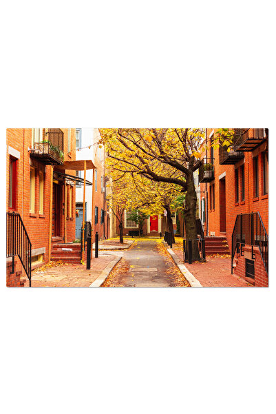 StoryGift Romania Tablou Canvas: Pictura Urbana cu Elemente Toamna - Arhitect...