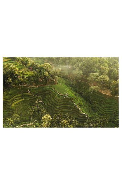 StoryGift Romania Canvas Print Tegalalang, Rice Terraces of Bali, Indonesia, above, agriculture, landscape 4
