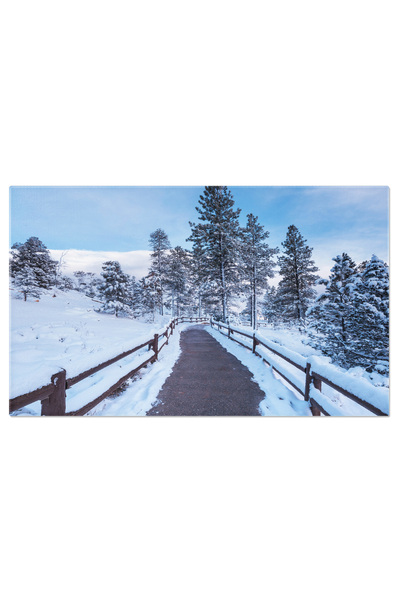 StoryGift Romania Tablou Canvas - Peisaj inzepezit in Padure: Liniste si Eleg...