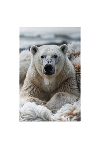 StoryGift Romania Tablou Canvas Ursul Polar pe un Pat cu Blană de Oaie Căldur...