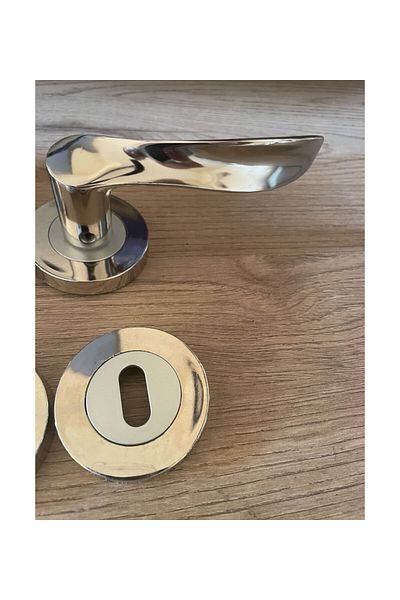 KAİZEN Door Handle Leaf Nickel Satin Circle Badge Room