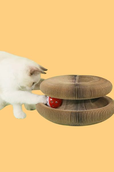 Coolizz Accordion Scratching Toy