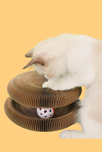 Coolizz Accordion Scratching Toy