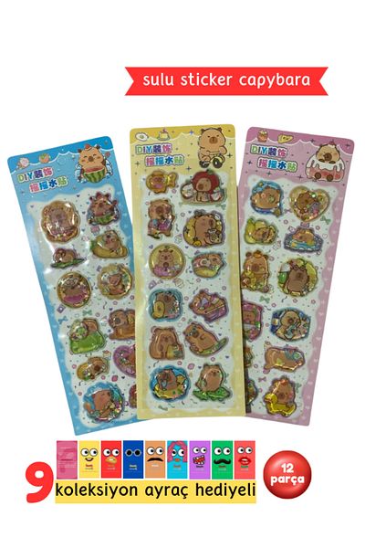 Pembe Pasaj Capybara 3D Water Sticker