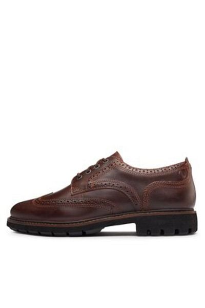 CLARKS men's shoes 261734397 brown