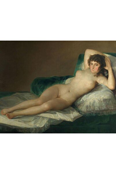 Pastelya Sayılarla Boyama Seti Çerçeveli Kasnaklı Çıplak Maya 40x50 cm