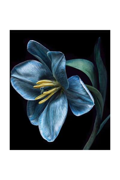 Pastelya Sayılarla Boyama Seti Çerçeveli Kasnaklı Yaşam Çiçeği 3 40x50 cm